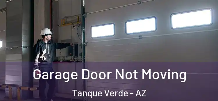  Garage Door Not Moving Tanque Verde - AZ
