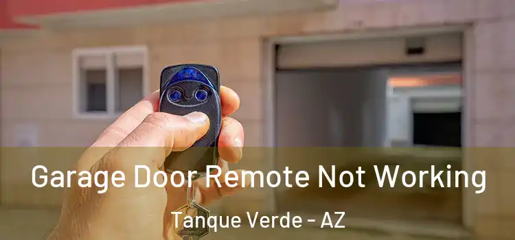  Garage Door Remote Not Working Tanque Verde - AZ