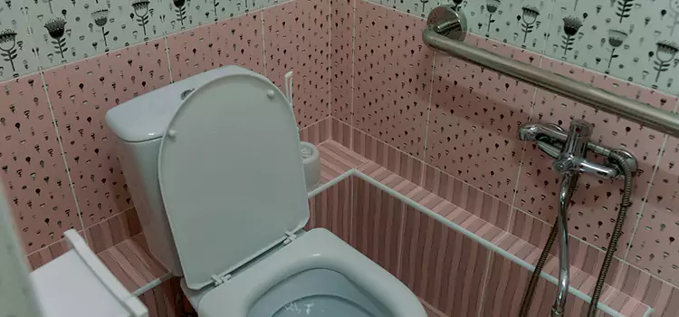 Meeting Diverse Needs With Accessible Restroom Solutions in Tanque Verde, AZ